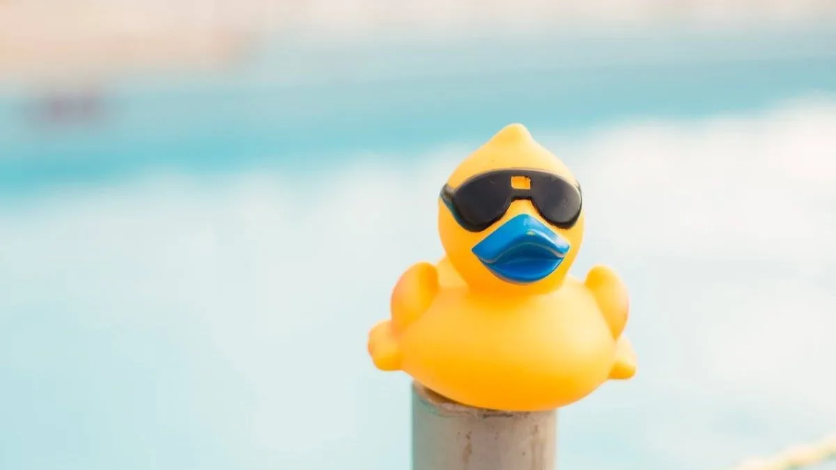 A single yellow rubber duck in close up.