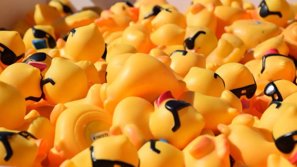 A pile of yellow rubber race ducks.