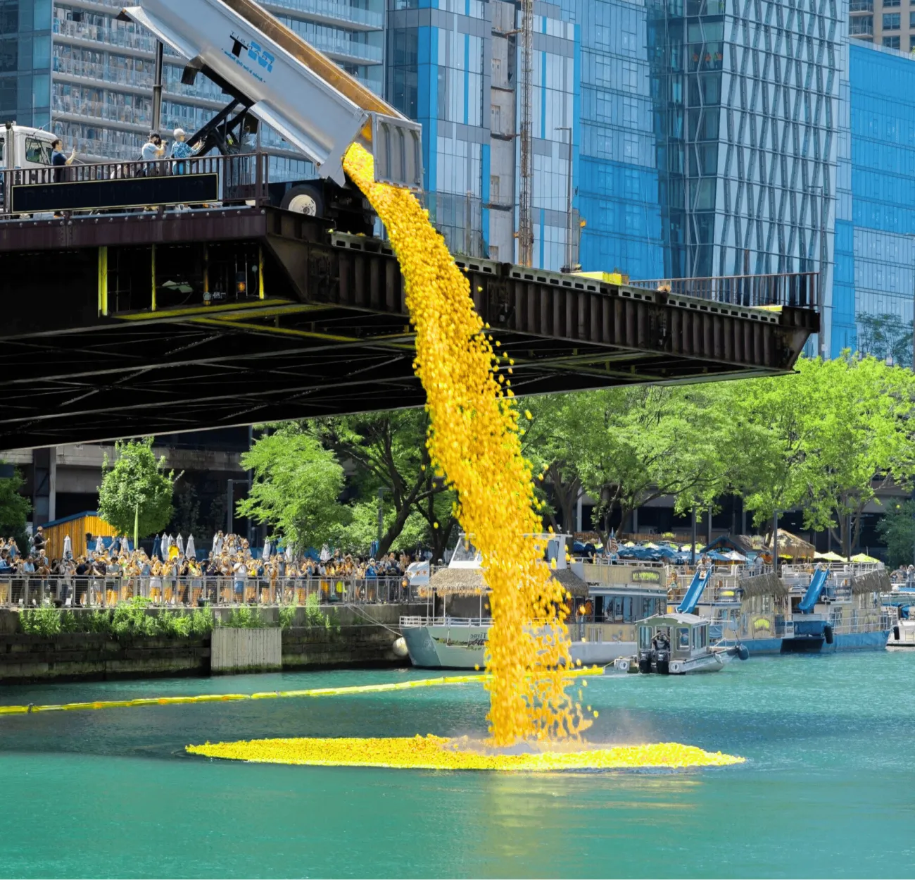 Thousands of yellow rubber ducks tumbling into the water at the start of a race.